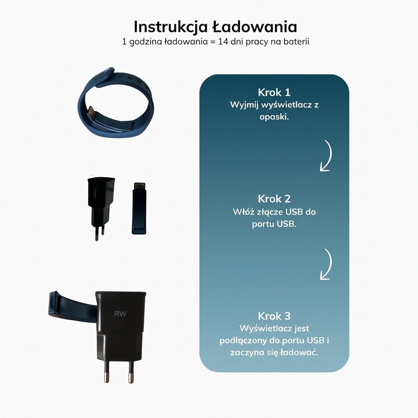 Ładowarka do RiseWell Pro